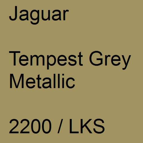 Jaguar, Tempest Grey Metallic, 2200 / LKS.